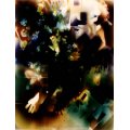 bbrain-14.jpg
